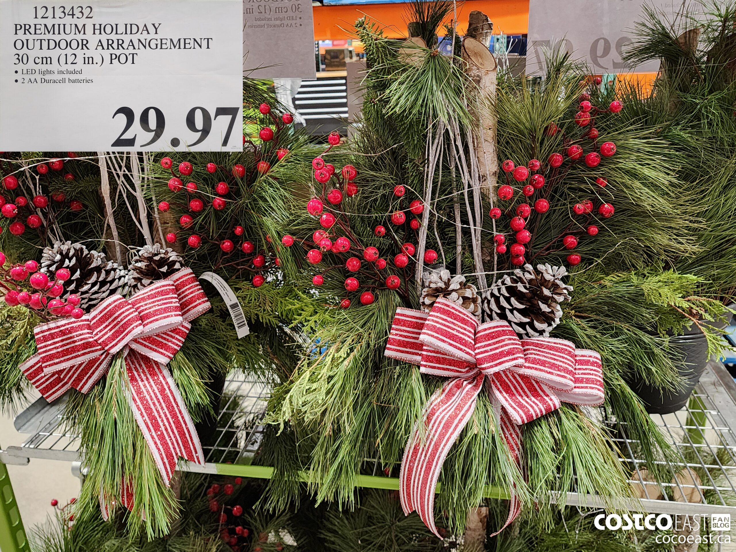 1213432 PREMIUM HOLIDAY OUTDOOR ARRANGEMENT 30 CM (12 IN.) POT $29.97