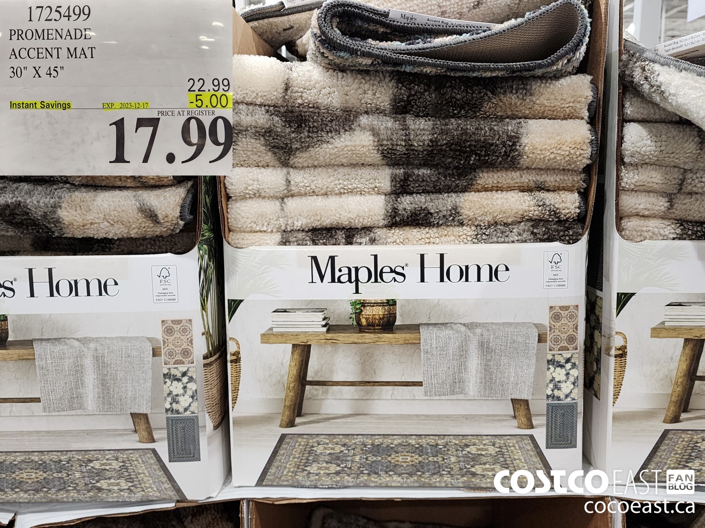 1725499 PROMENADE ACCENT MAT 30