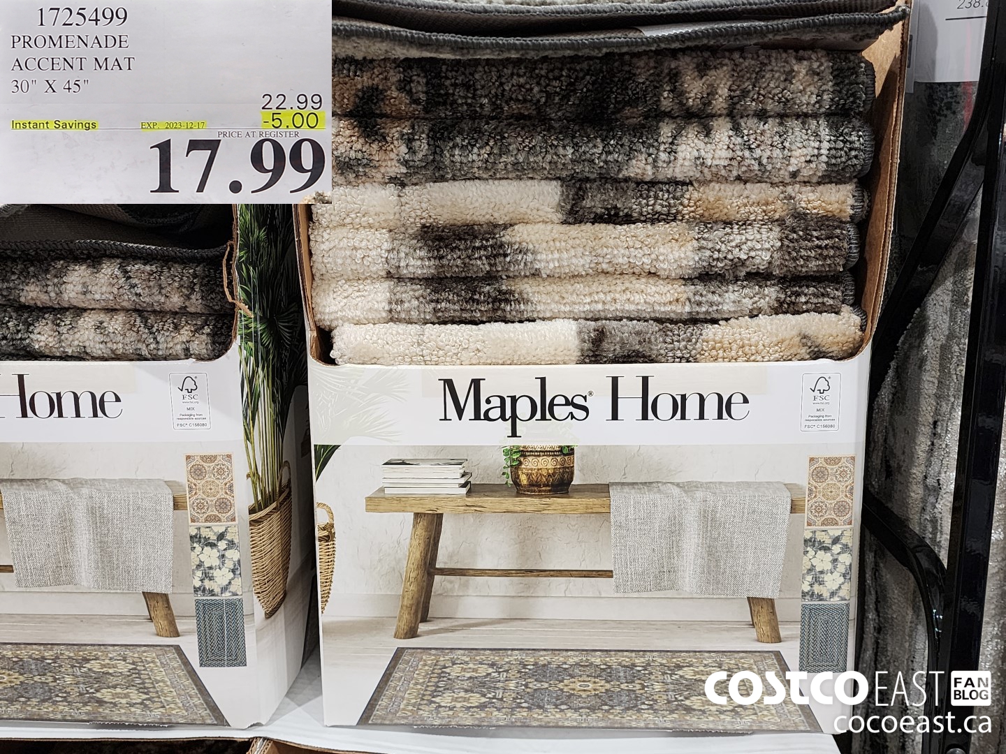 1725499 PROMENADE ACCENT MAT 30