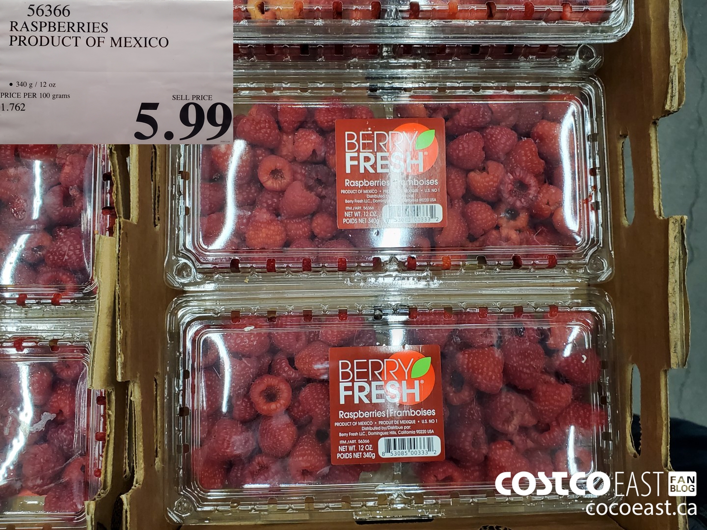 56366 RASPBERRIES PRODUCT OF MEXICO $5.99