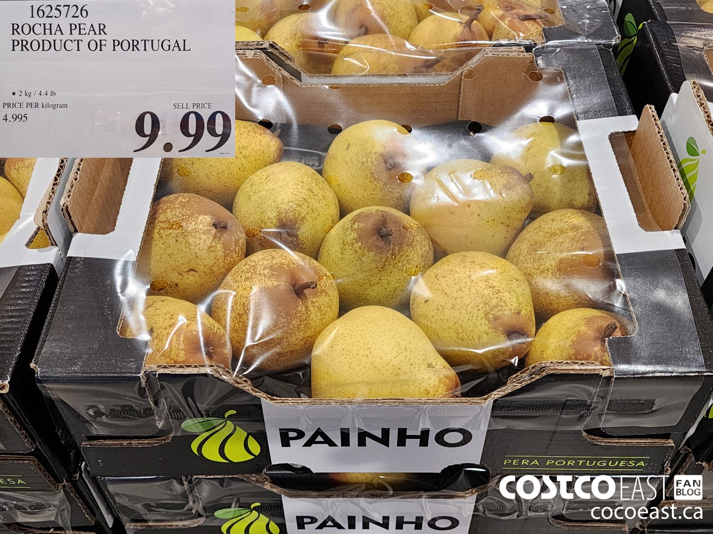 1625726 ROCHA PEAR PRODUCT OF PORTUGAL $9.99