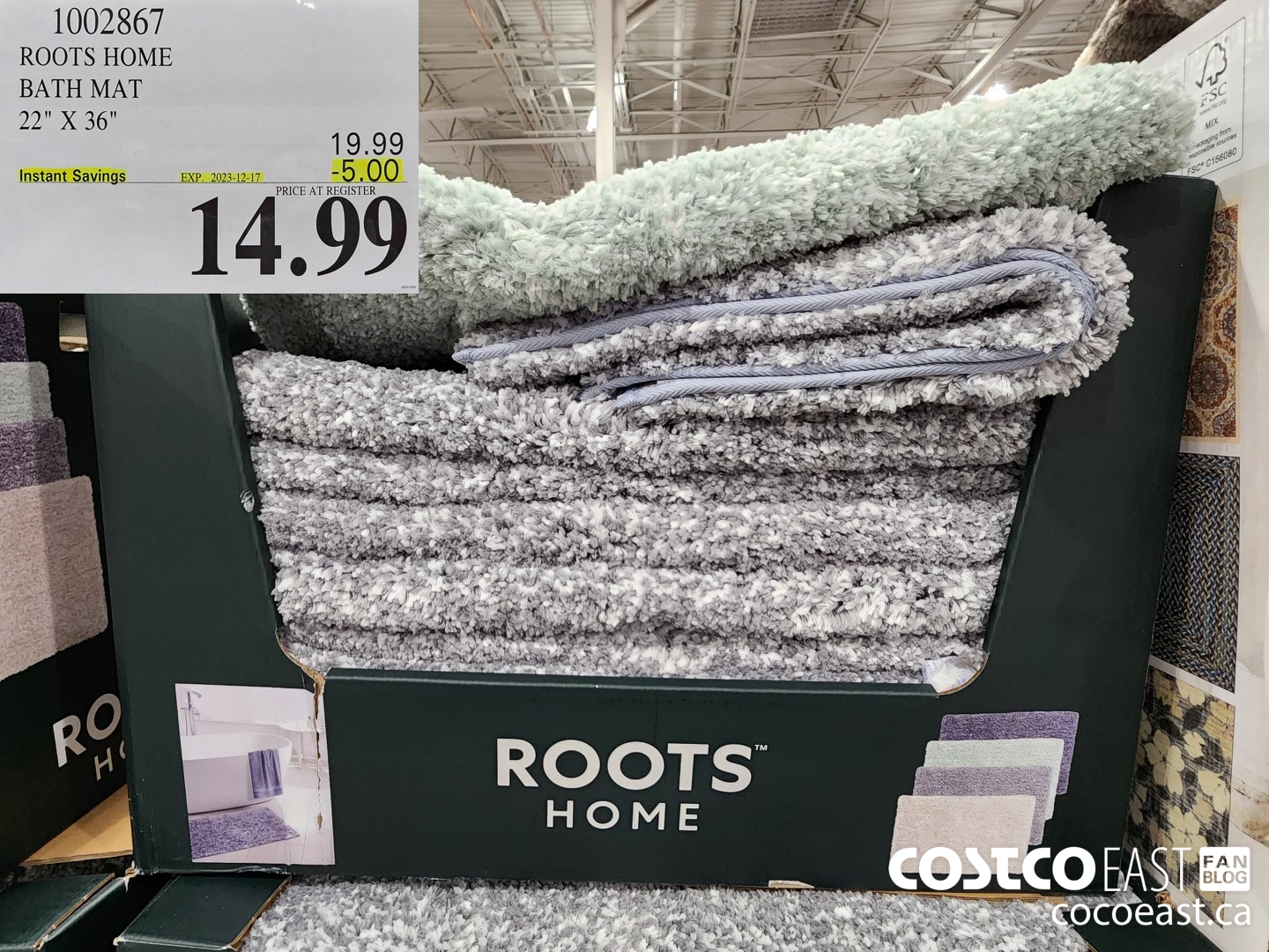 1002867 ROOTS HOME BATH MAT 22