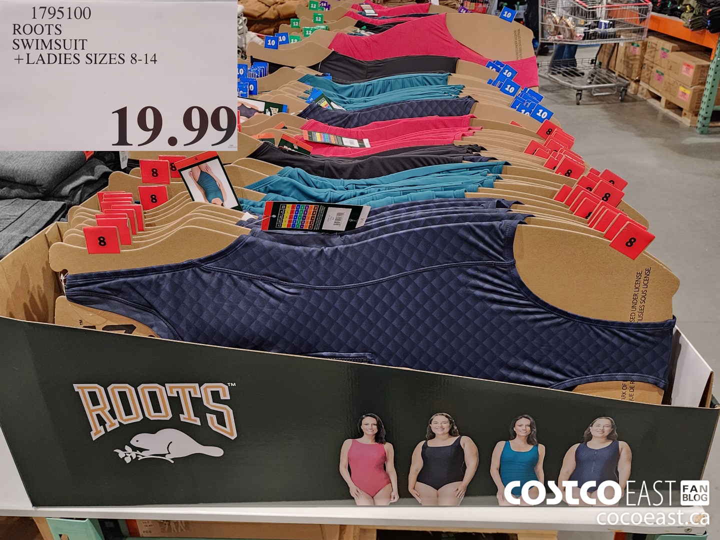 1795100 ROOTS SWIMSUIT +LADIES SIZES 8-14 $19.99