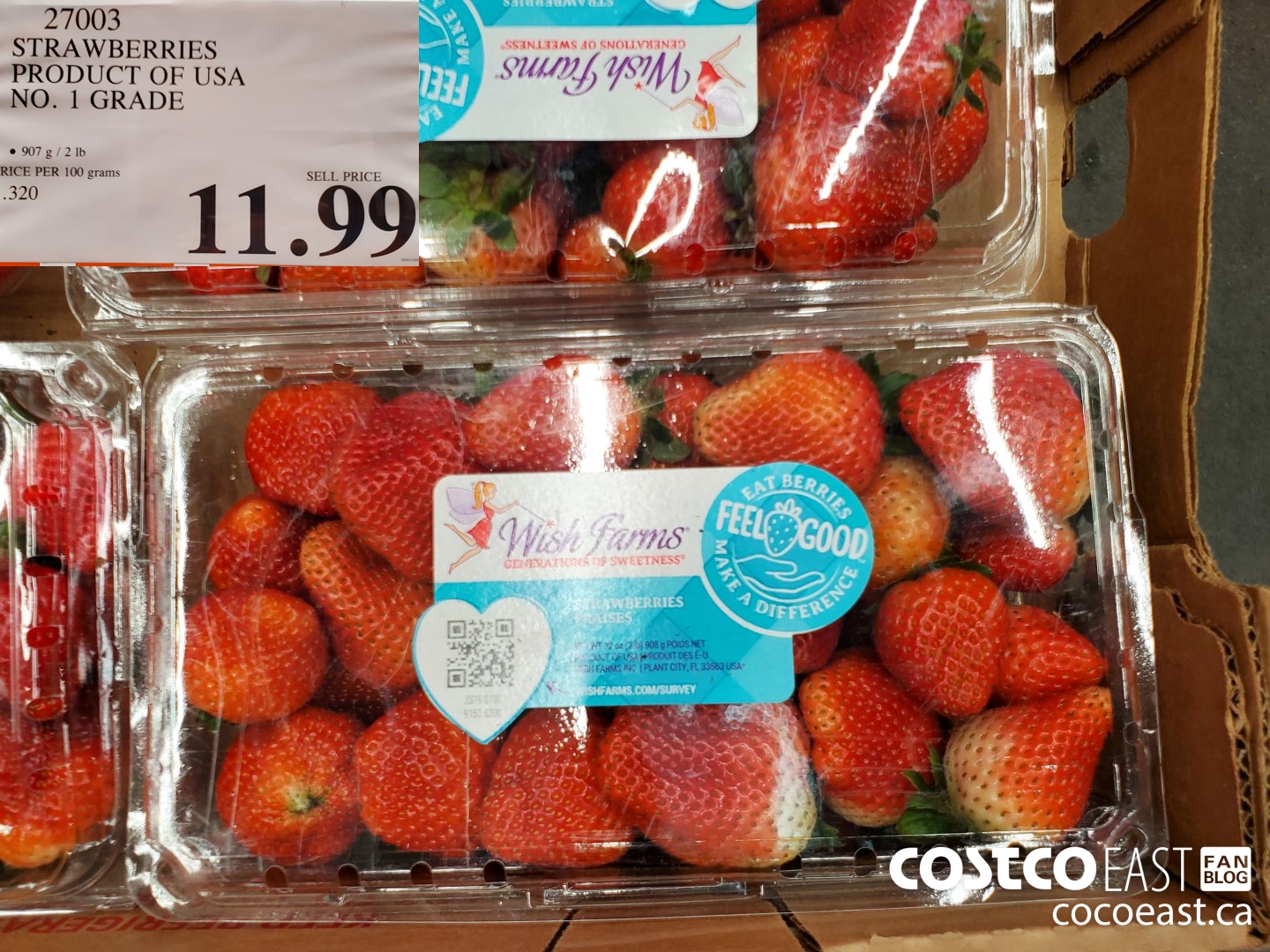 27003 STRAWBERRIES PRODUCT OF USA NO. 1 GRADE $11.99