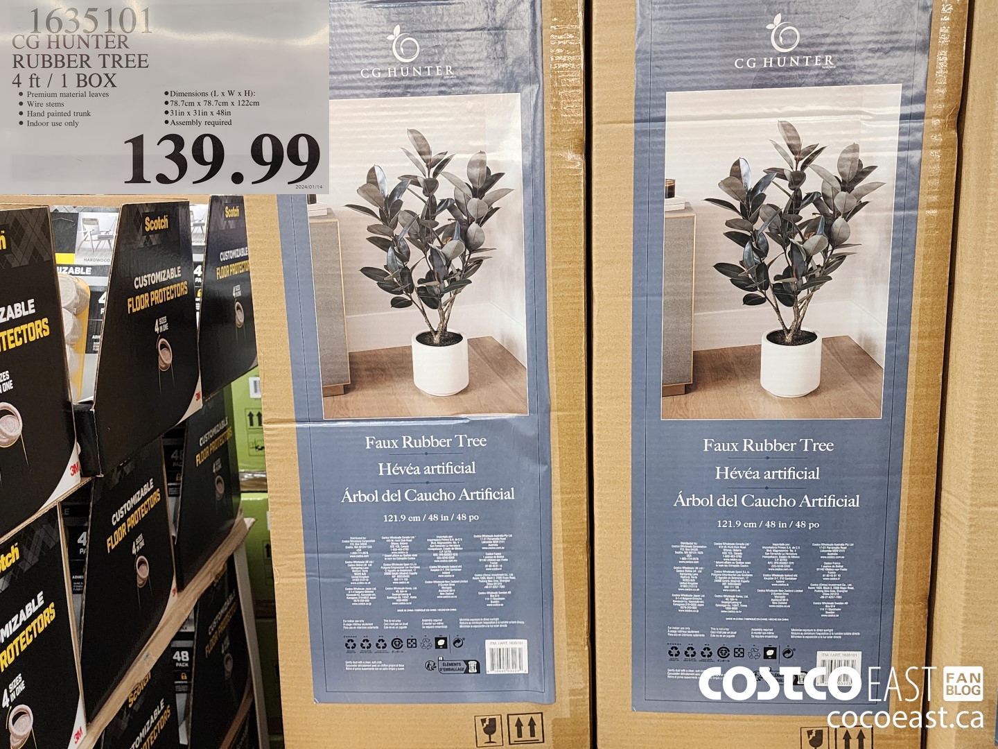 1635101 CG HUNTER RUBBER TREE 4 FT / 1 BOX $139.99