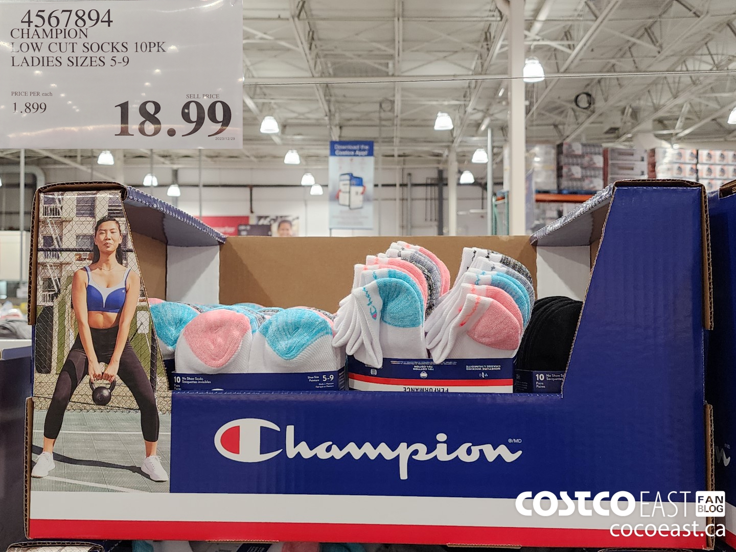 4567894 CHAMPION LOW CUT SOCKS 10 PK LADIES: SIZES 5-9 $18.99