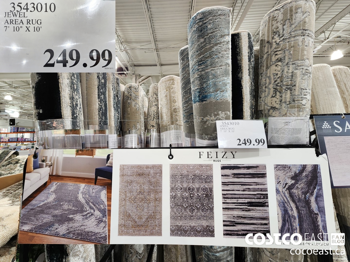 3543010 JEWEL AREA RUG 7'10