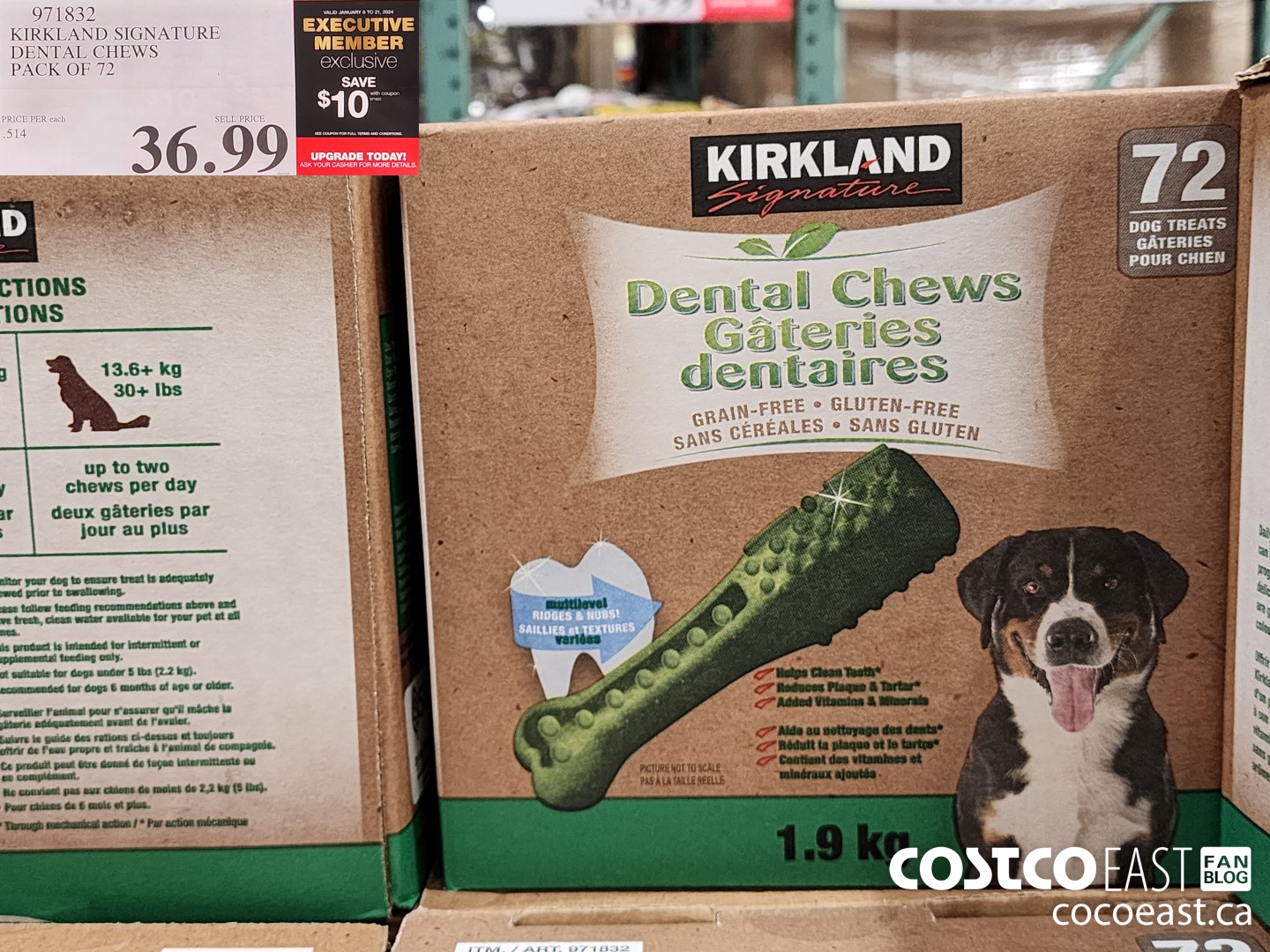 Costco dog outlet dental chews