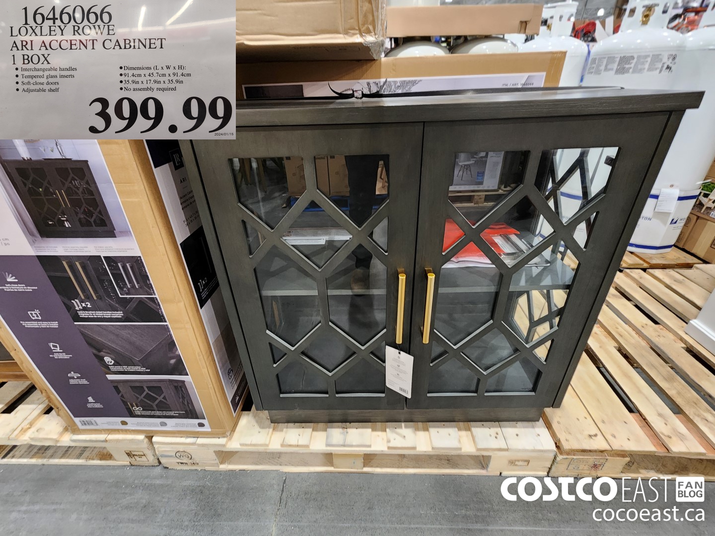 1646066 LOXLEY ROWE ARI ACCENT CABINET $399.99