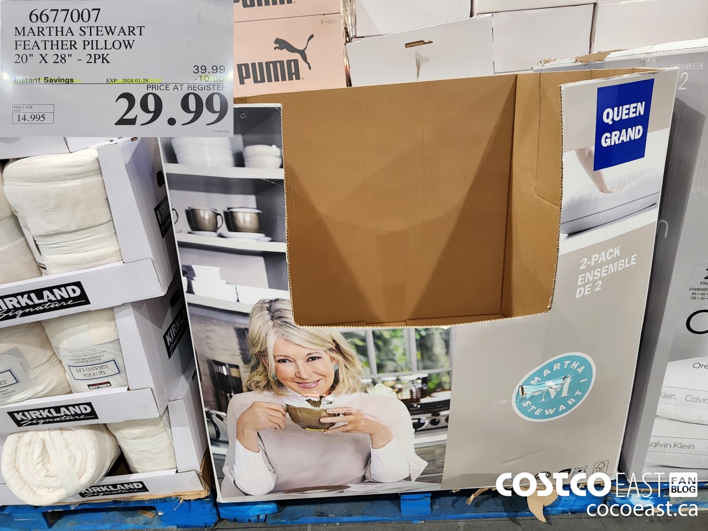 6677007 MARTHA STEWART FEATHER PILLOW 20