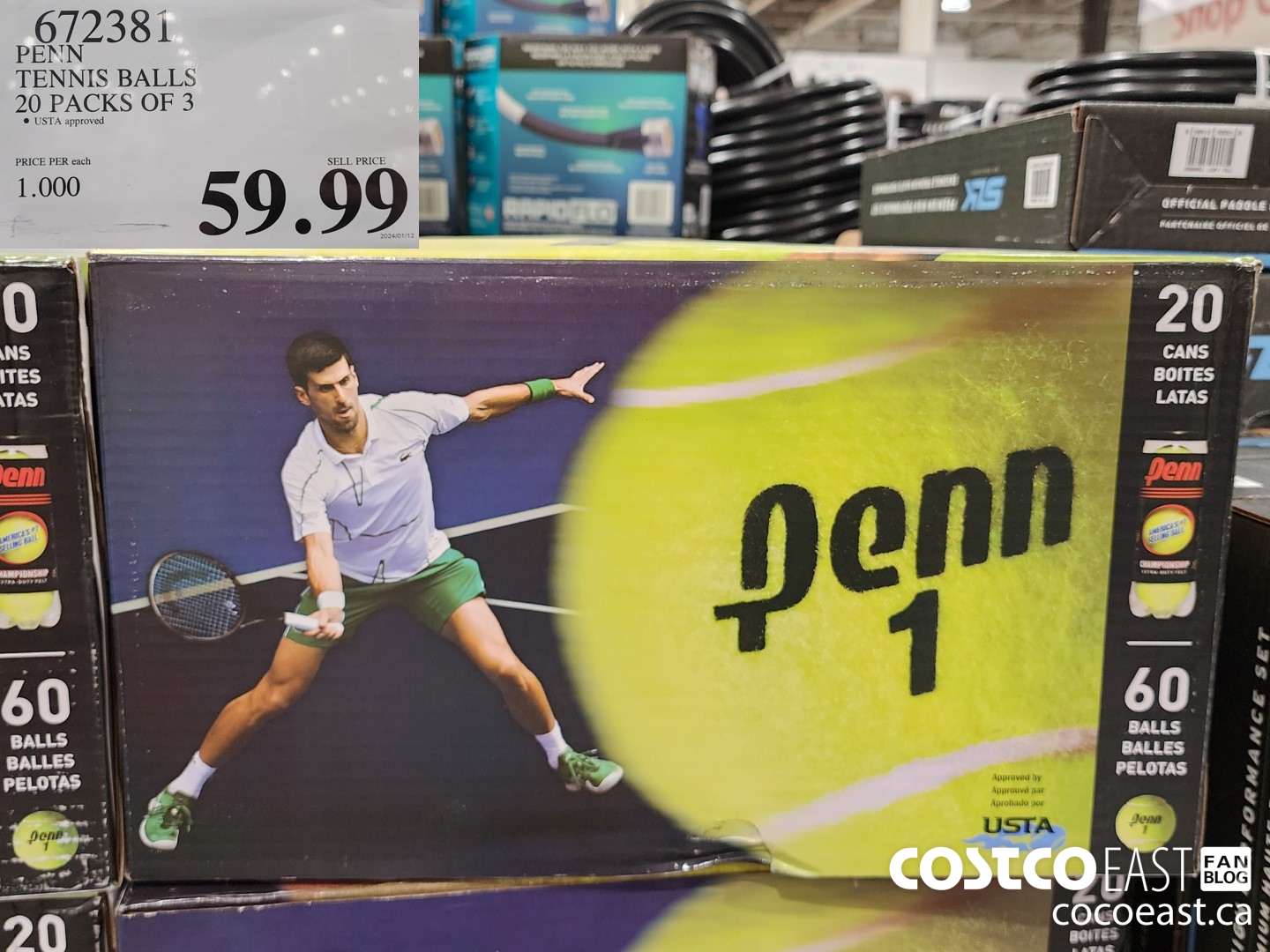 672381 PENN TENNIS BALLS 20 PACKS OF 3 $59.99