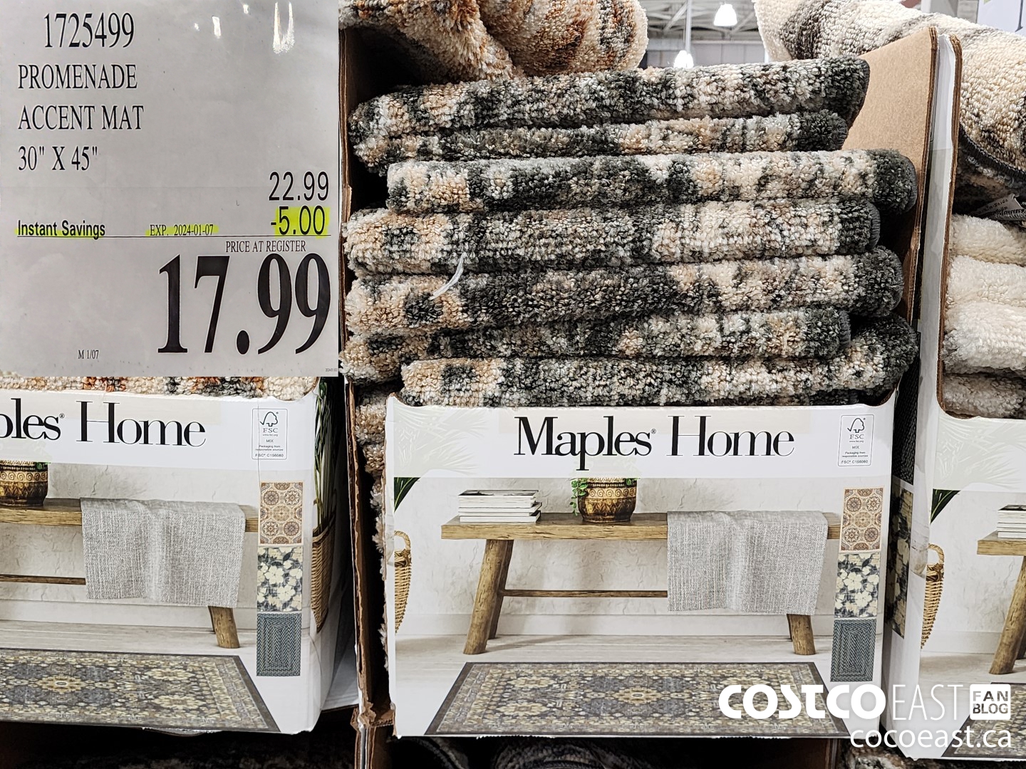 1725499 PROMENADE ACCENT MAT 30