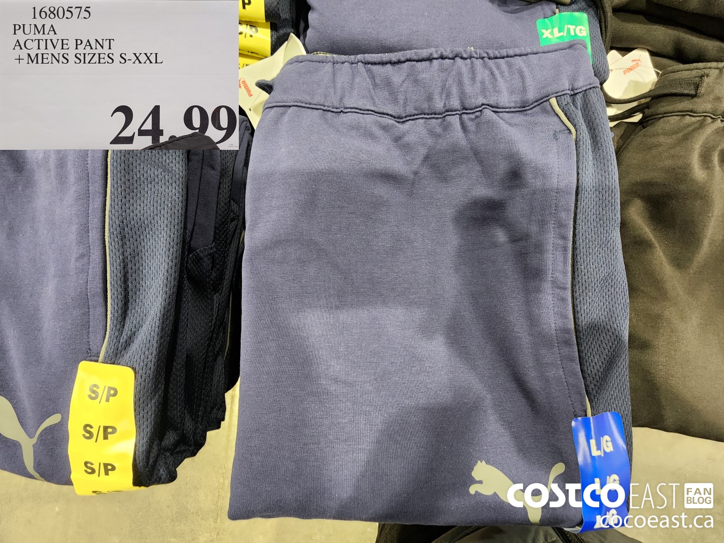 1680575 PUMA ACTIVE PANT +MENS SIZES S-XXL $24.99