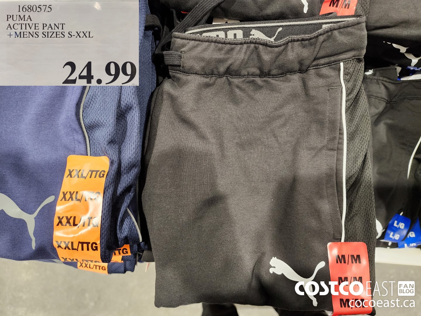 1680575 PUMA ACTIVE PANT +MENS SIZES S-XXL $24.99