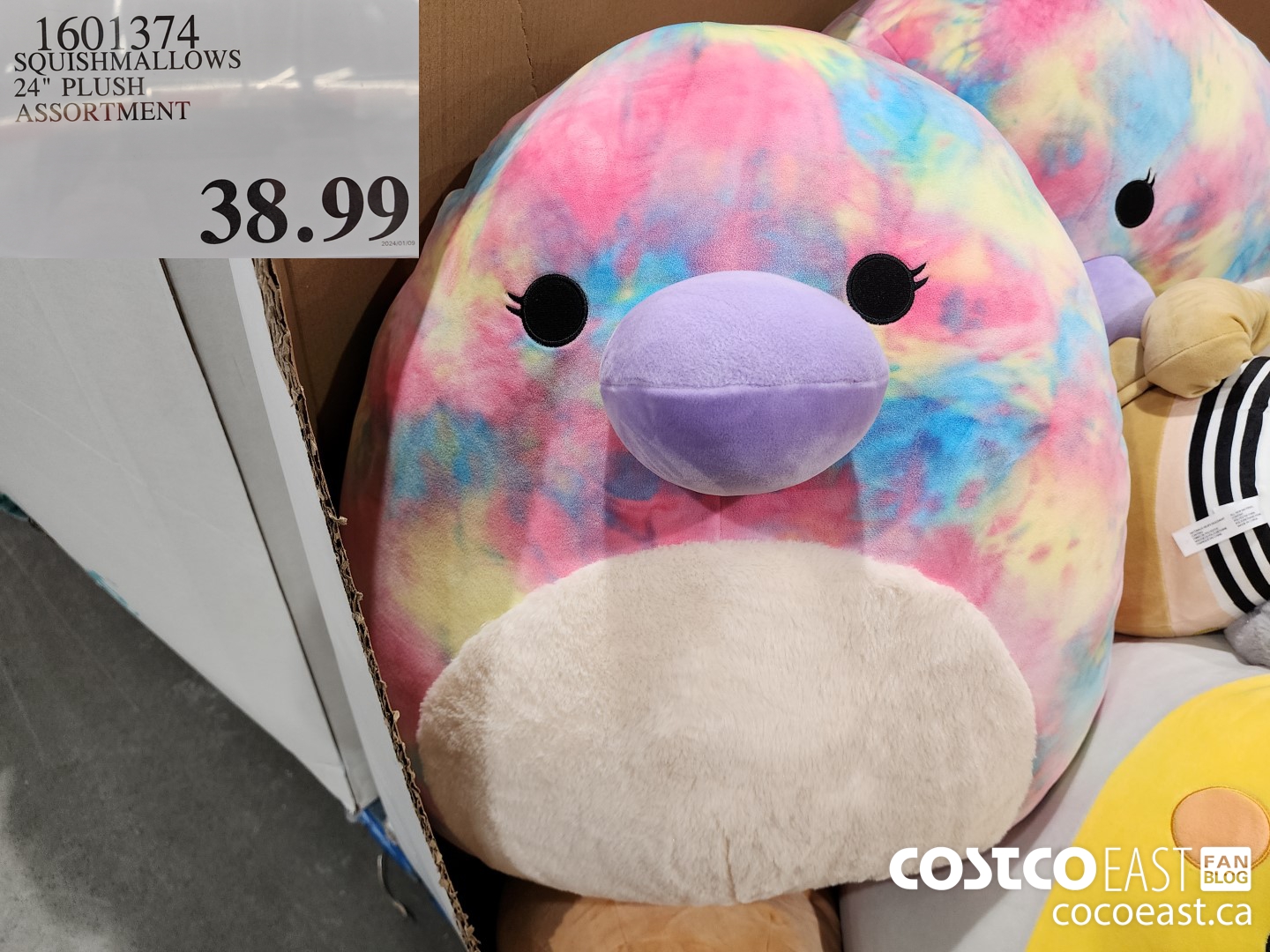 1601374 SQUISHMALLOWS 24