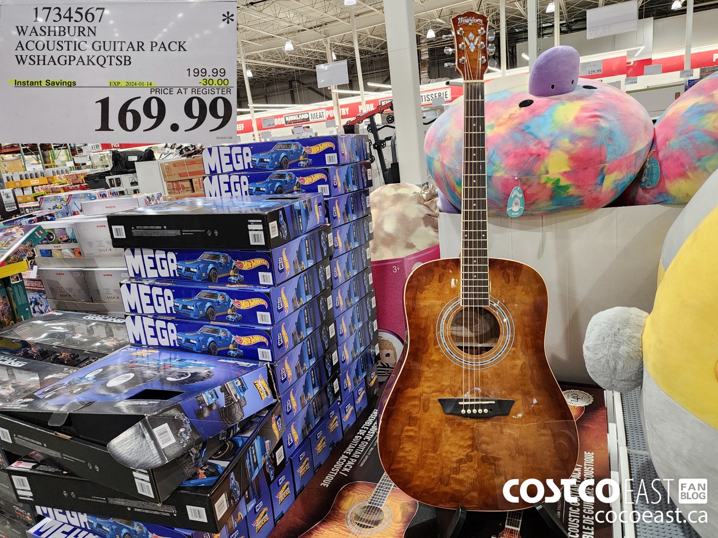 1734567 WASHBURN ACOUSTIC GUITAR PACK WSHAGPAKQTSB ($30.00 INSTANT SAVINGS EXPIRES ON 2024-01-14) $169.99