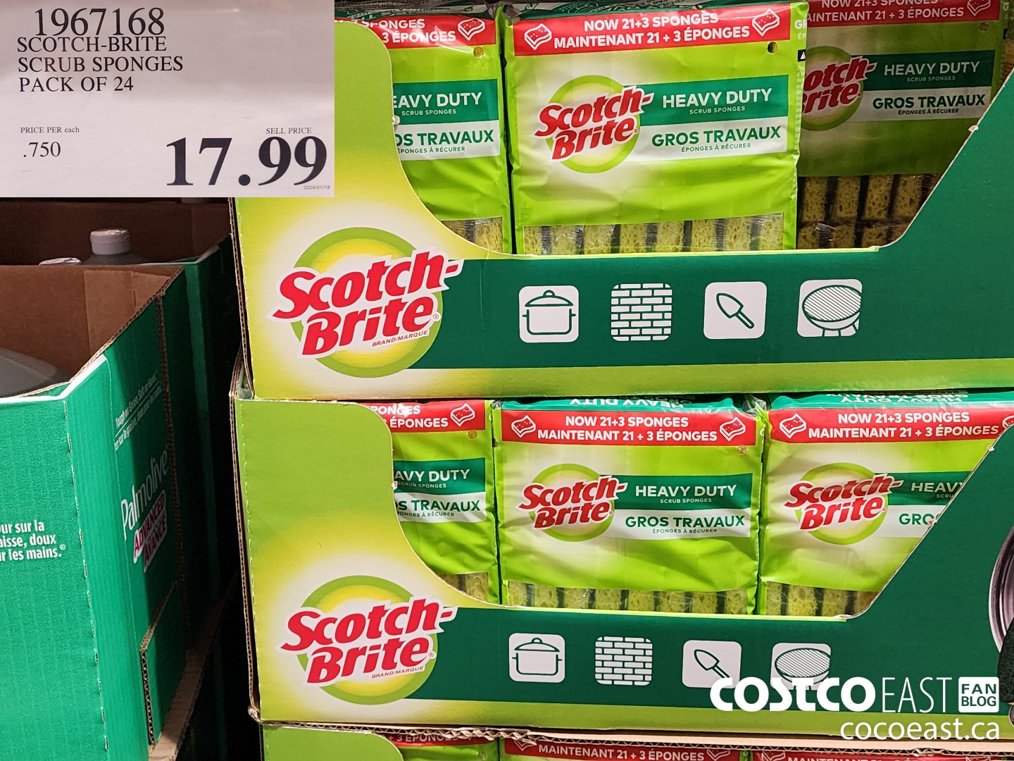 1967168 3M SCOTCH-BRITE SCRUB SPONGES PACK OF 24 $17.99