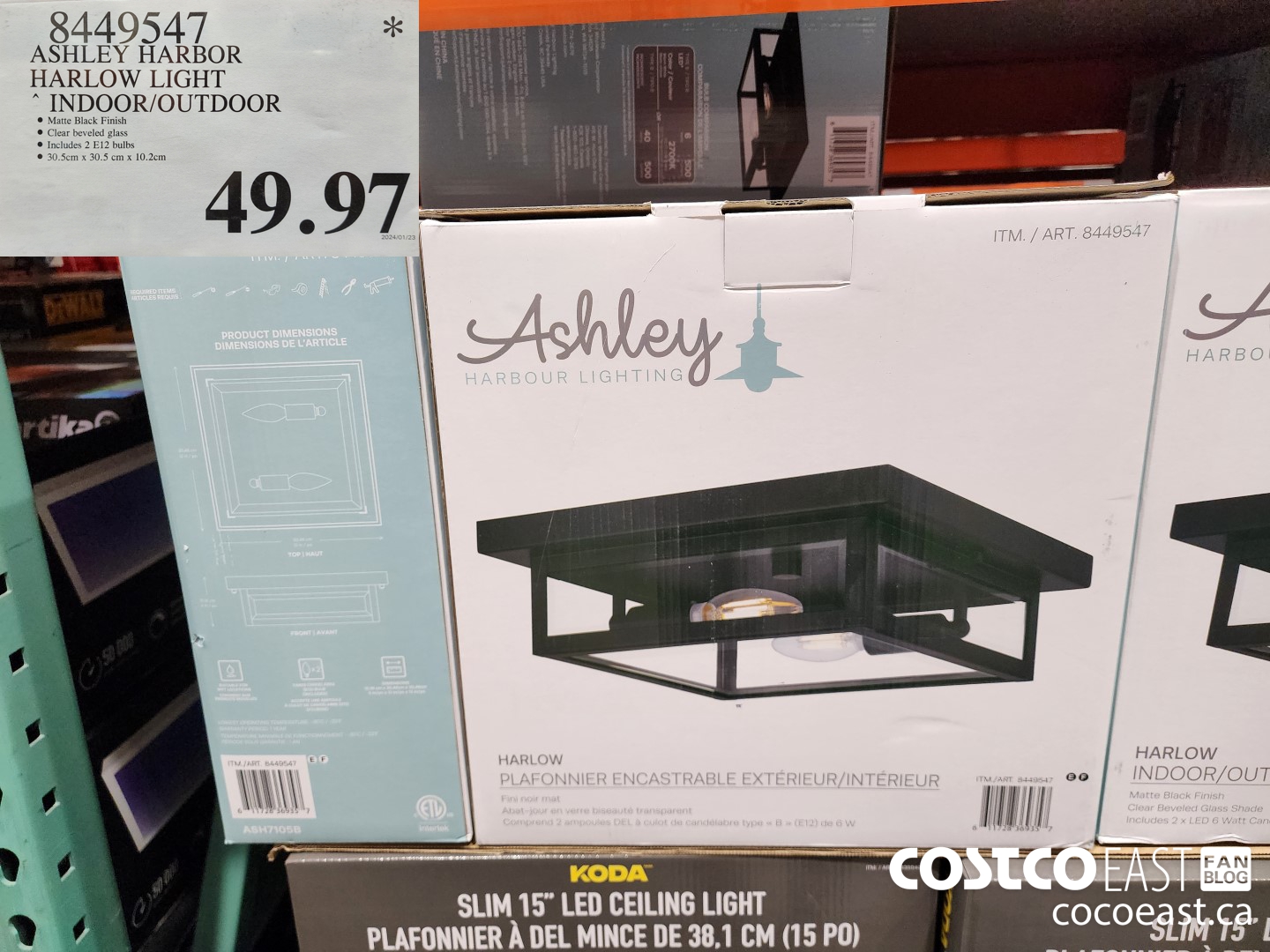 8449547 ASHLEY HARBOR HARLOW INDOOR/OUTDOOR $49.97