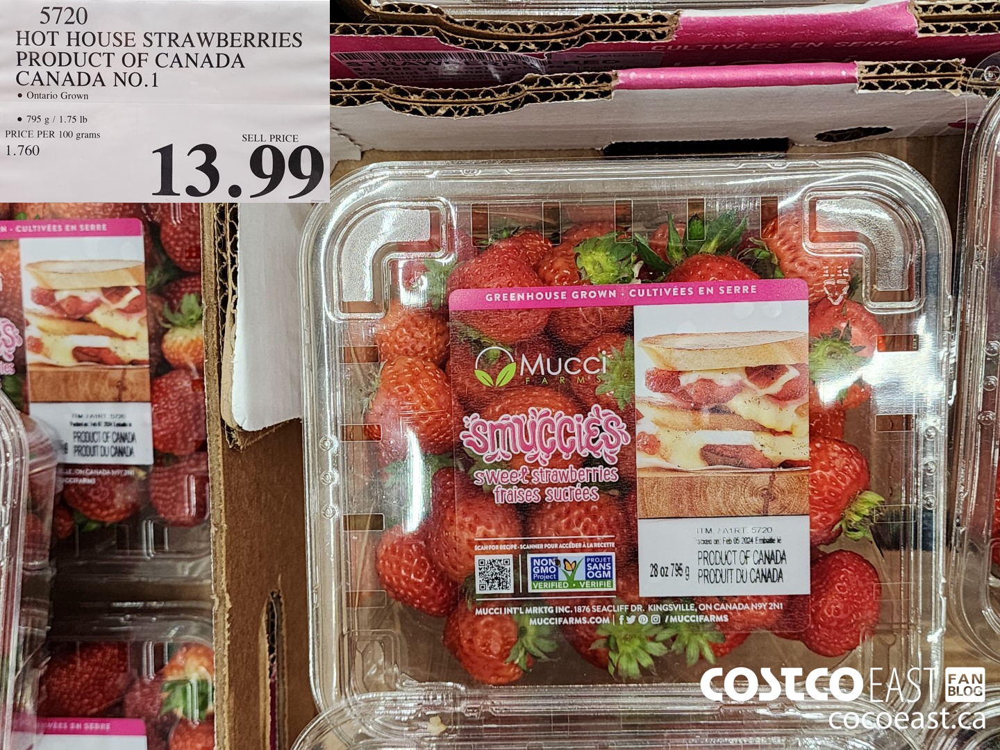 5720 HOT HOUSE STRAWBERRIES PRODUCT OF CANADA CANADA NO.1 $13.99