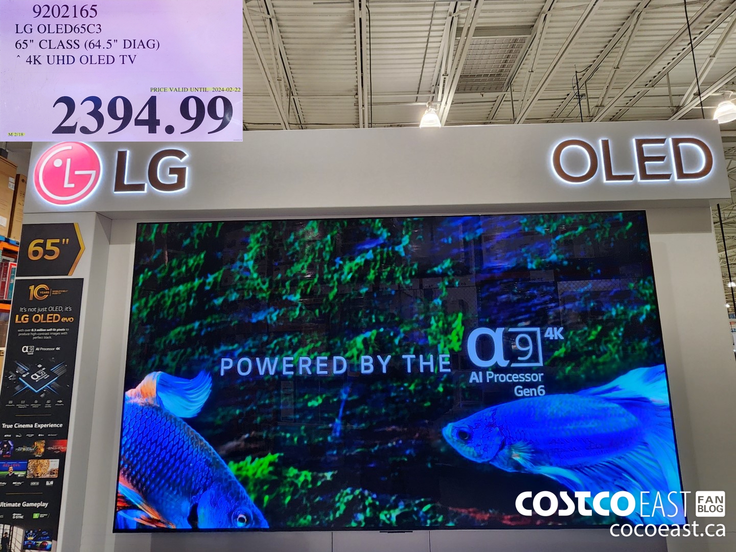 9202165 LG OLED65C3 65