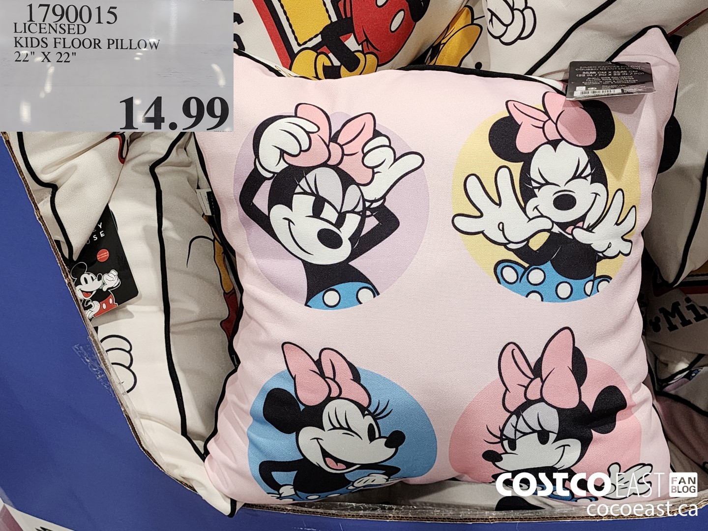 1790015 LICENSED KIDS FLOOR PILLOW 22