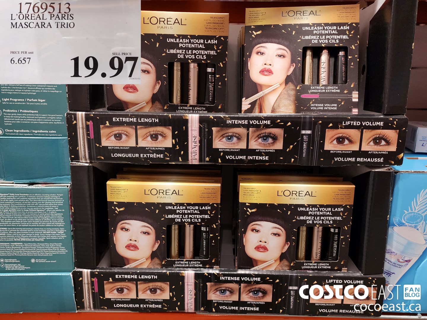 1769513 L'OREAL PARIS MASCARA TRIO $19.97