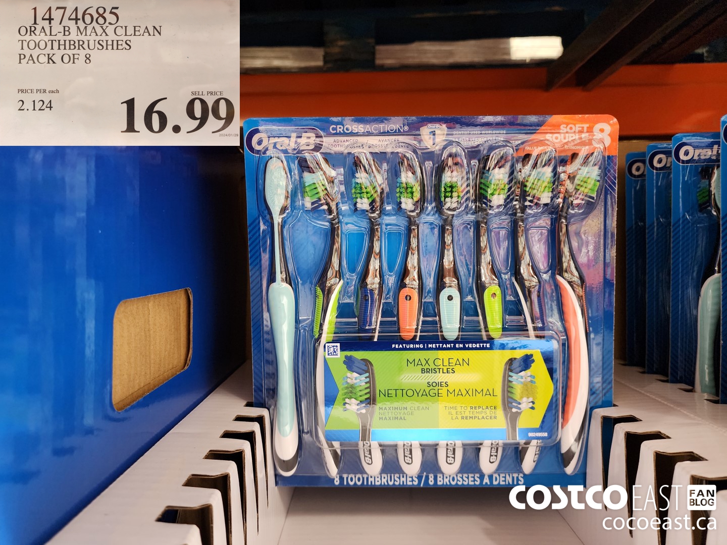 1474685 ORAL-B MAX CLEAN TOOTHBRUSHES PACK OF 8 $16.99