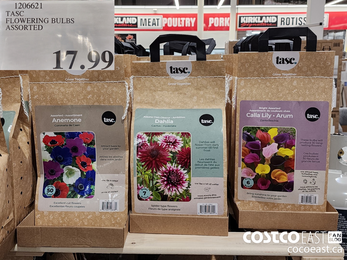 1206621 TASC FLOWERING BULBS ASSORTED $17.99