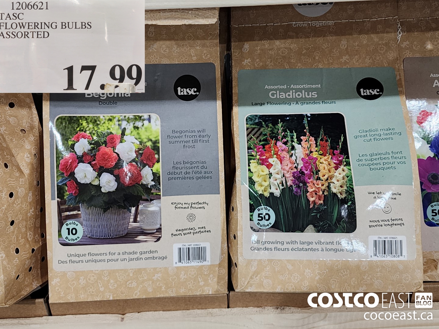 1206621 TASC FLOWERING BULBS ASSORTED $17.99