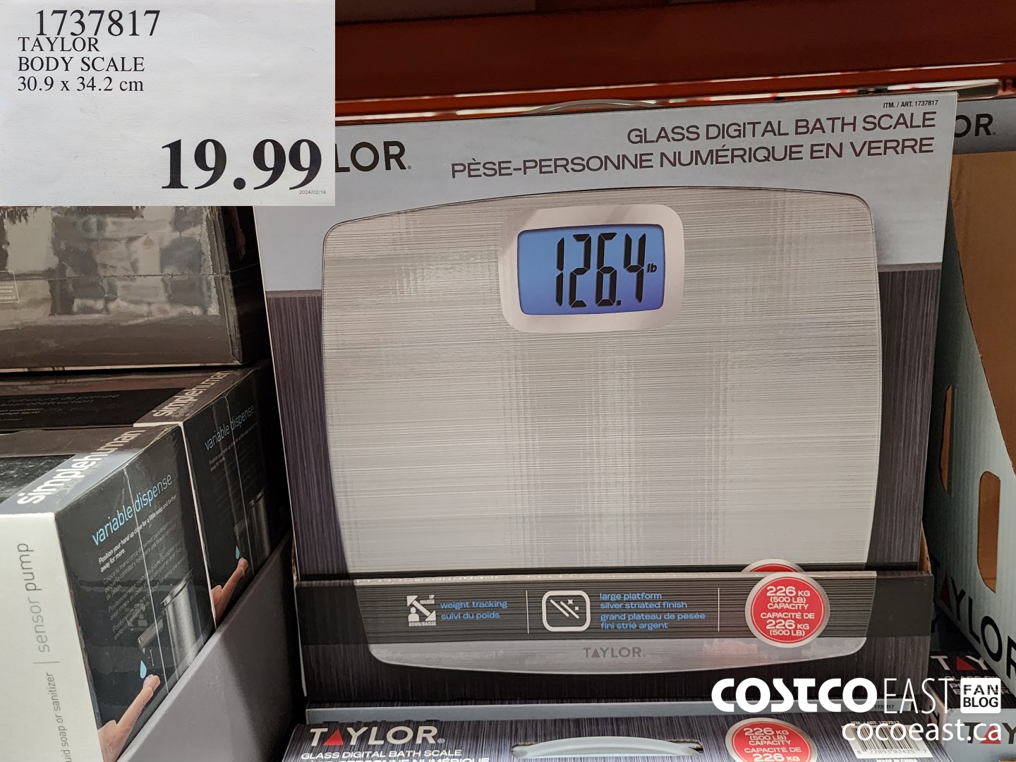 1737817 TAYLOR BODY SCALE 30.9 x 34.2 cm $19.99