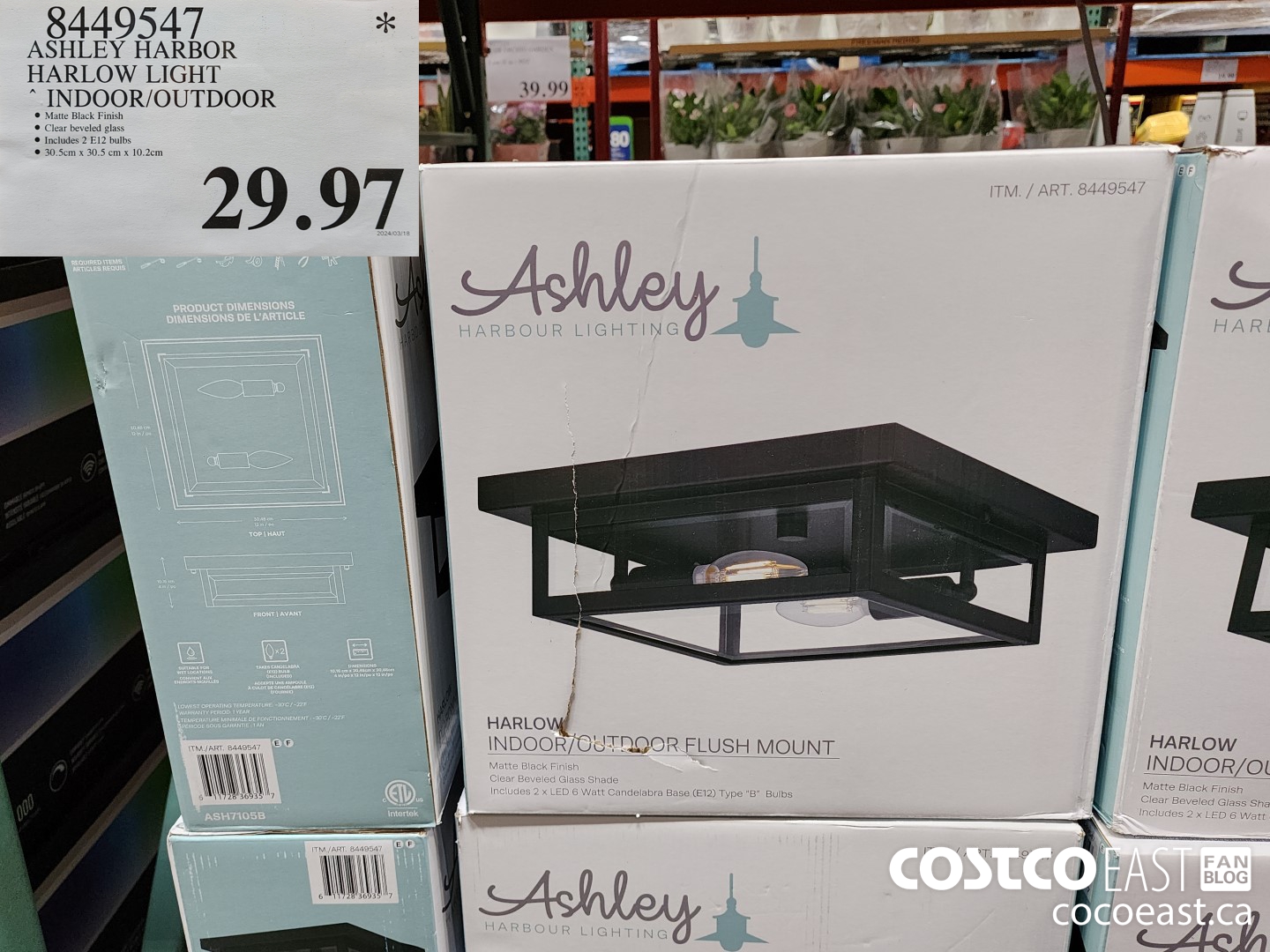 8449547 ASHLEY HARBOR HARLOW INDOOR/OUTDOOR $29.97