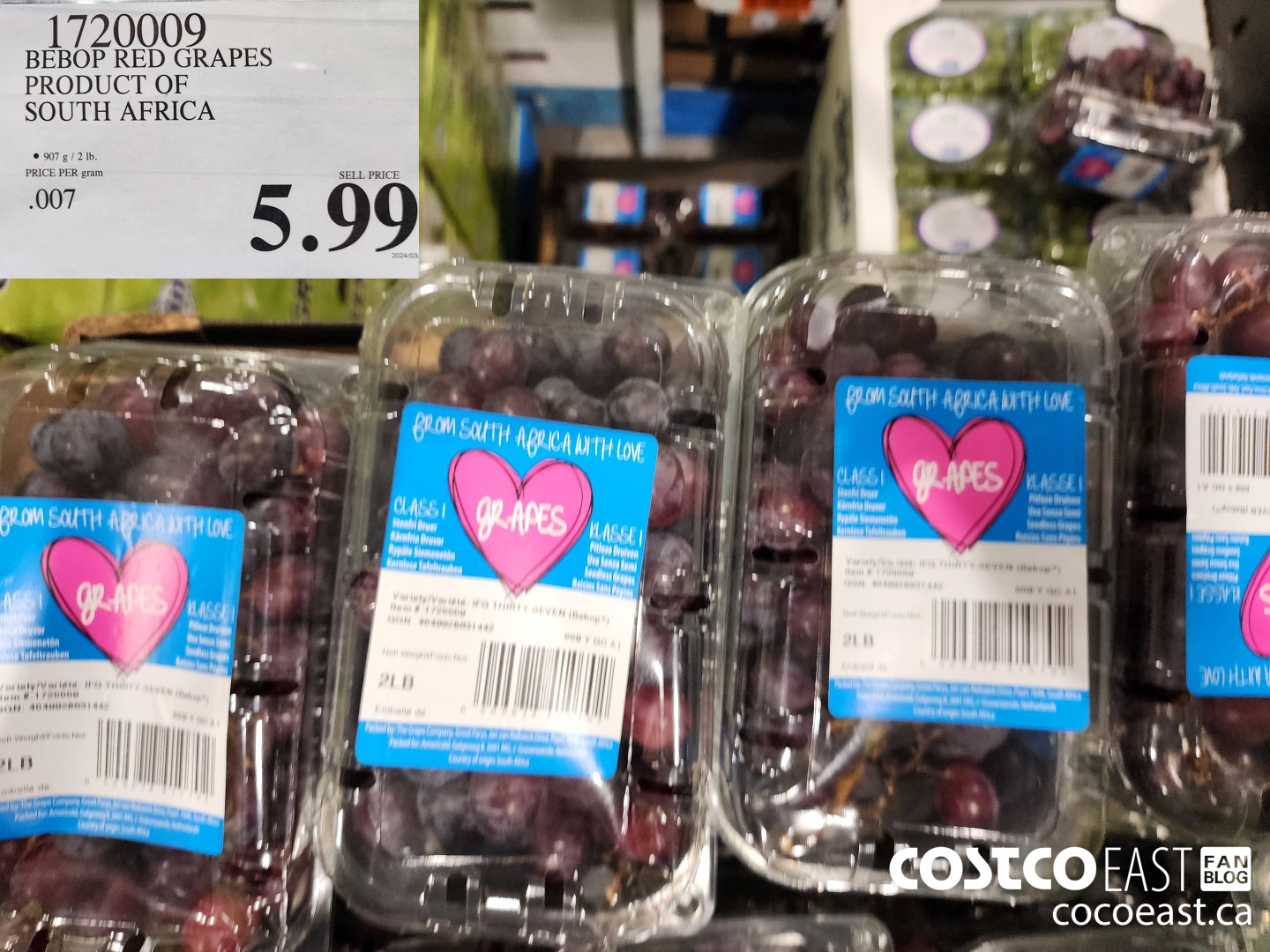 1720009 BEBOP RED GRAPES PRODUCT OF SOUTH AFRICA $5.99