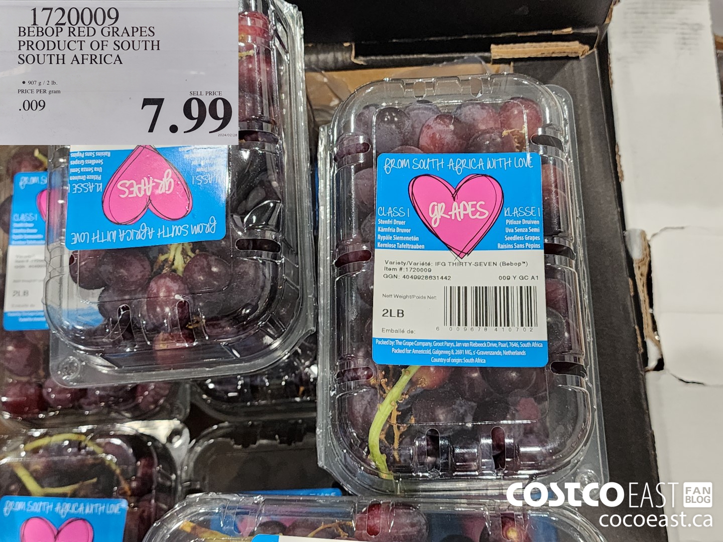 1720009 BEBOP RED GRAPES PRODUCT OF SOUTH SOUTH AFRICA $7.99