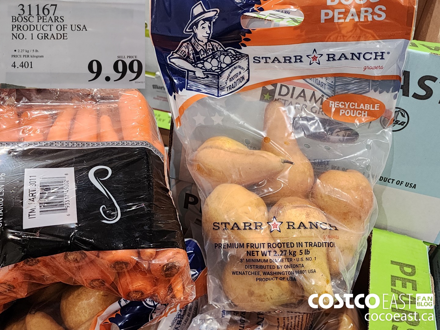 31167 BOSC PEARS PRODUCT OF USA NO. 1 GRADE $9.99