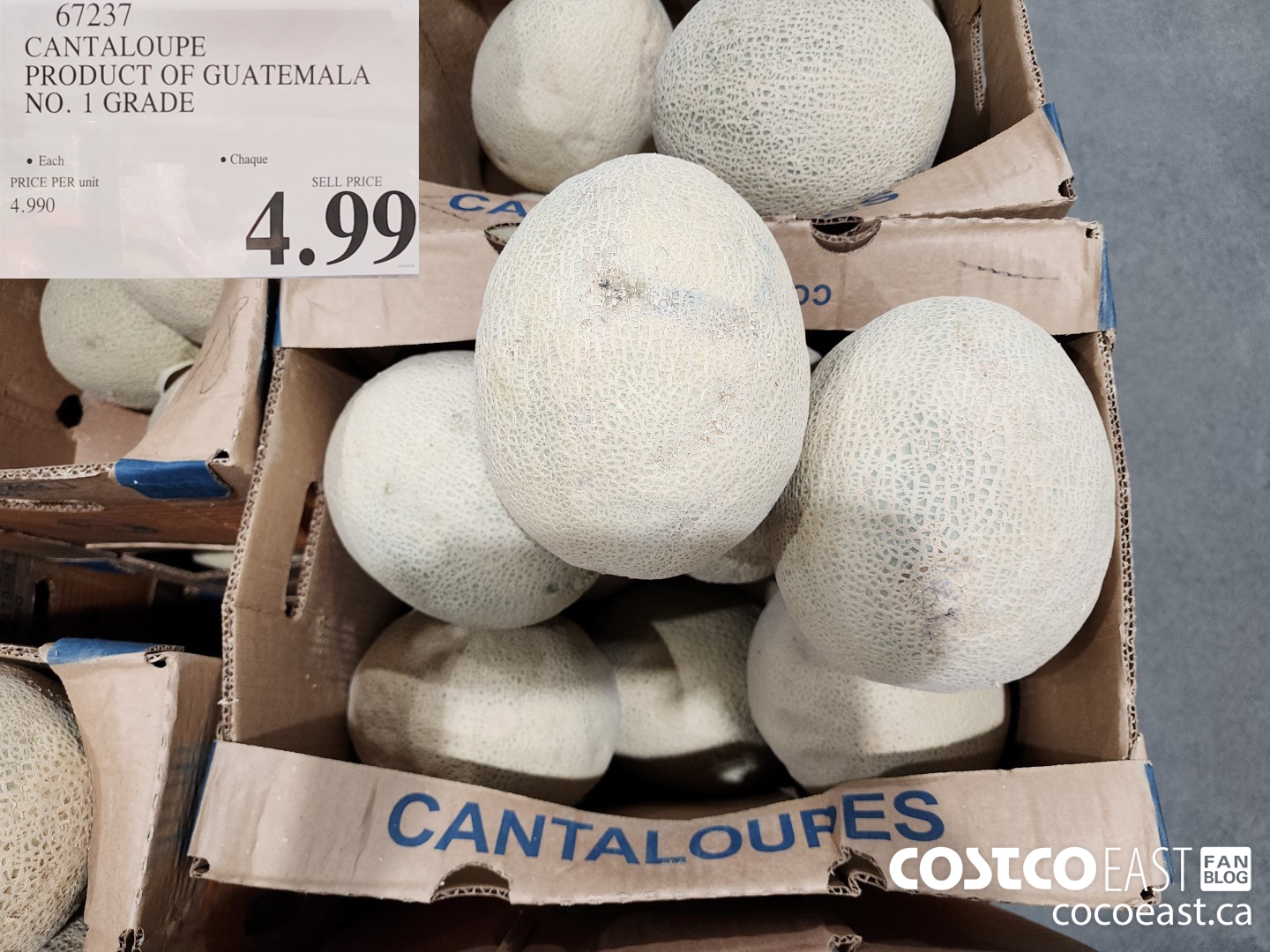 67237 CANTALOUPE PRODUCT OF GUATEMALA NO. 1 GRADE $4.99