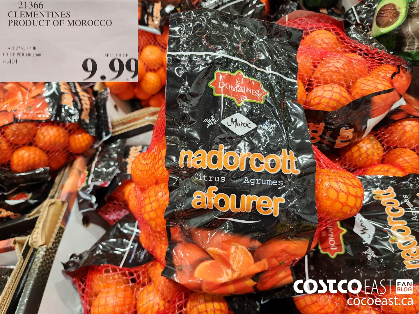 21366 CLEMENTINES PRODUCT OF MOROCCO $9.99