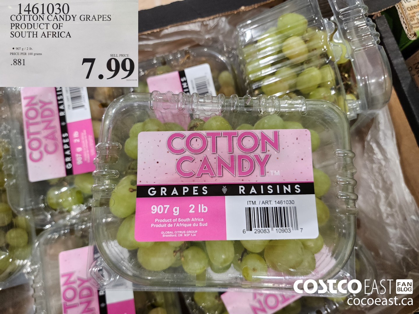 1461030 COTTON CANDY GRAPES PRODUCT OF SOUTH AFRICA $7.99