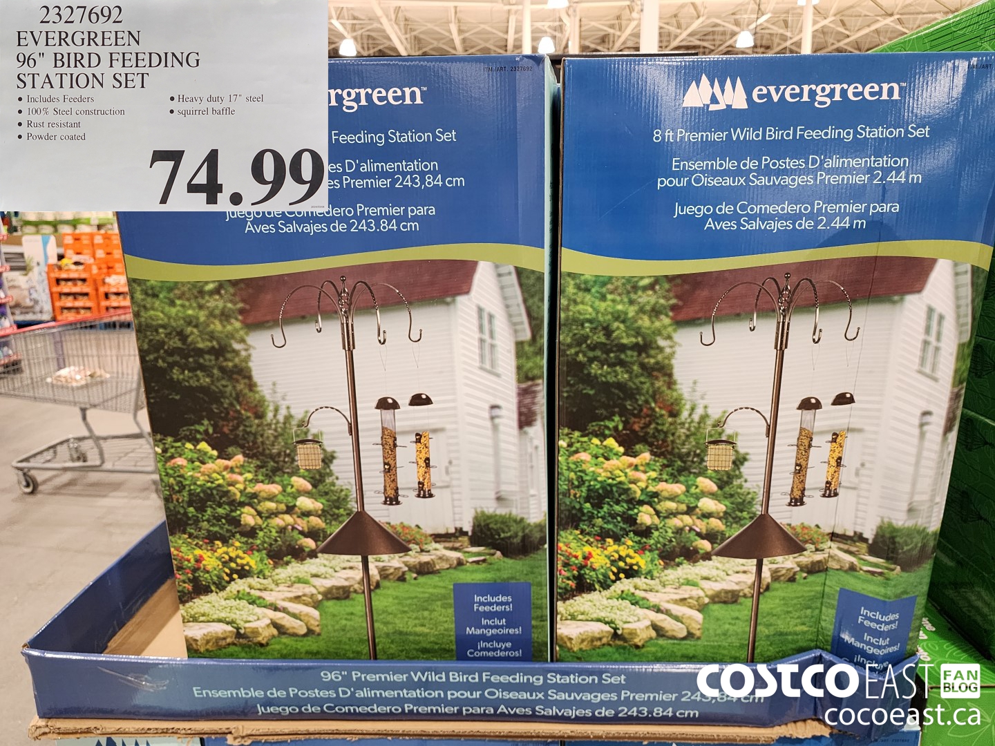 2327692 EVERGREEN 96