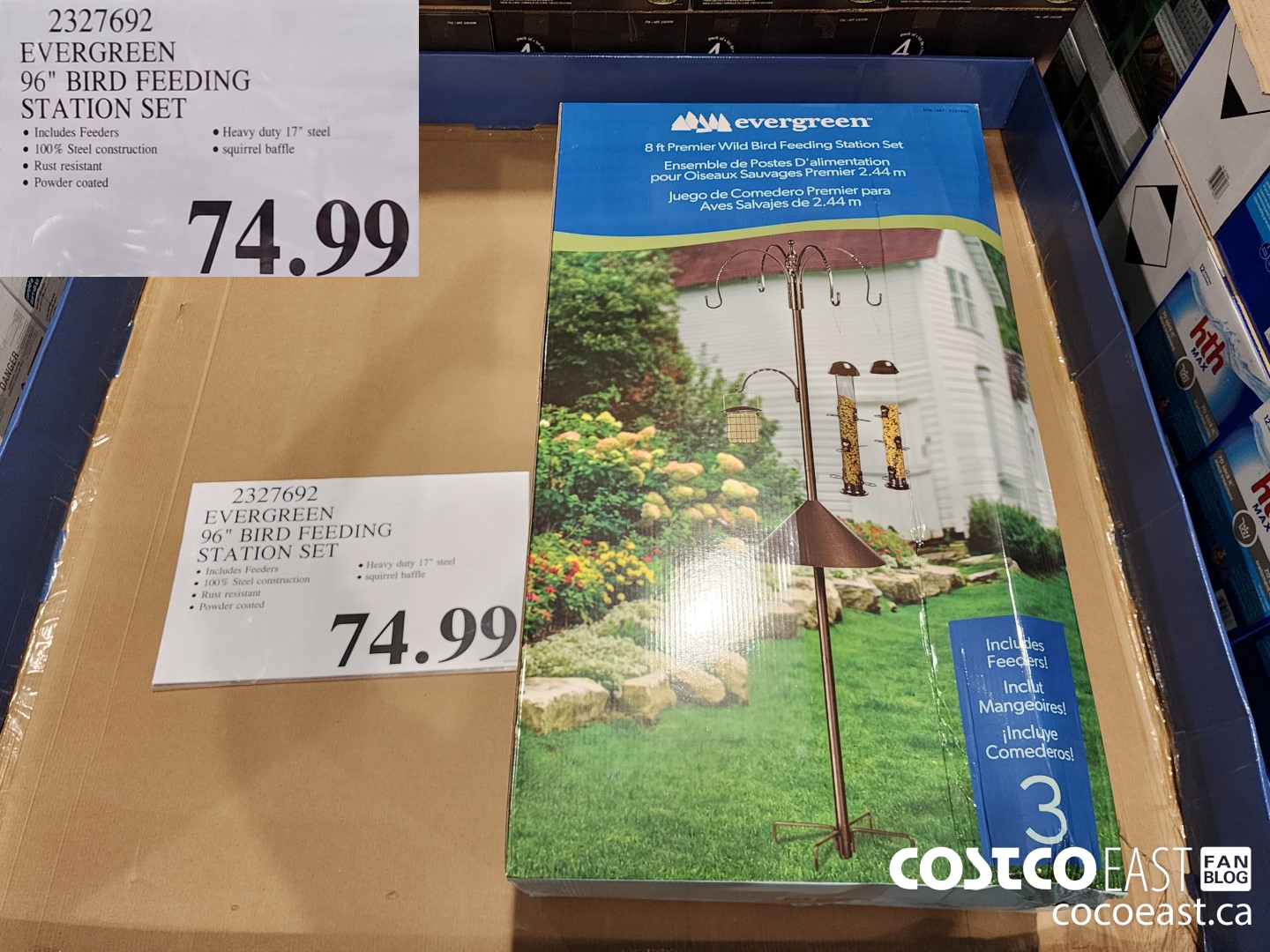 2327692 EVERGREEN 96