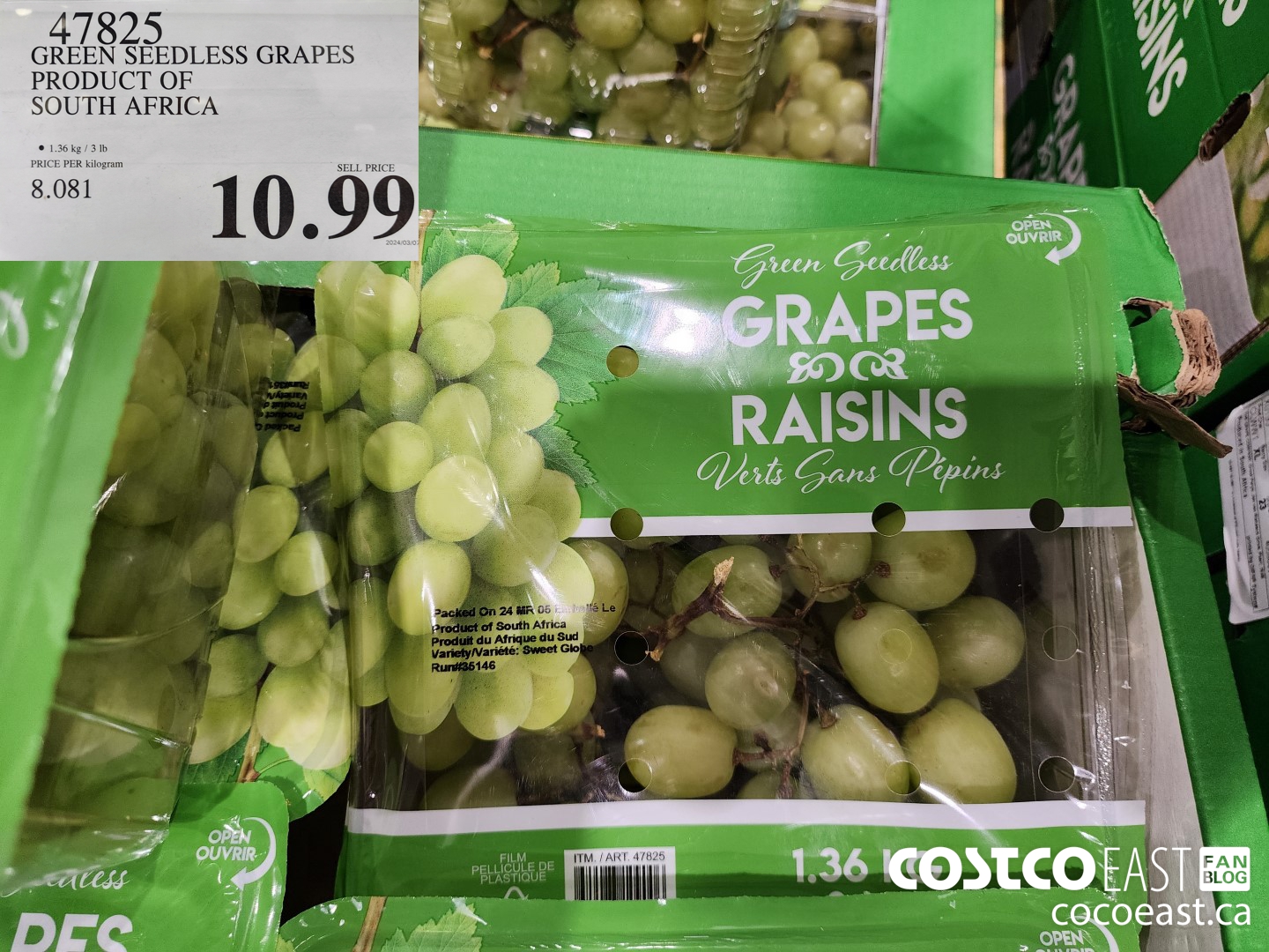 47825 GREEN SEEDLESS GRAPES PRODUCT OF SOUTH AFRICA $10.99