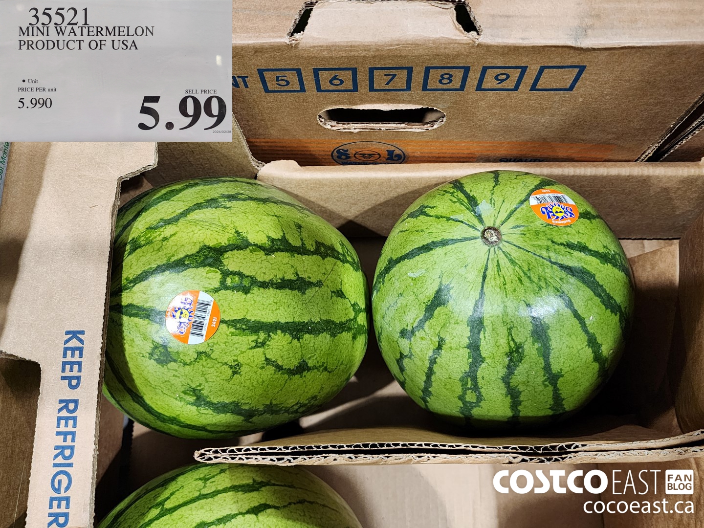 35521 MINI WATERMELON PRODUCT OF USA $5.99