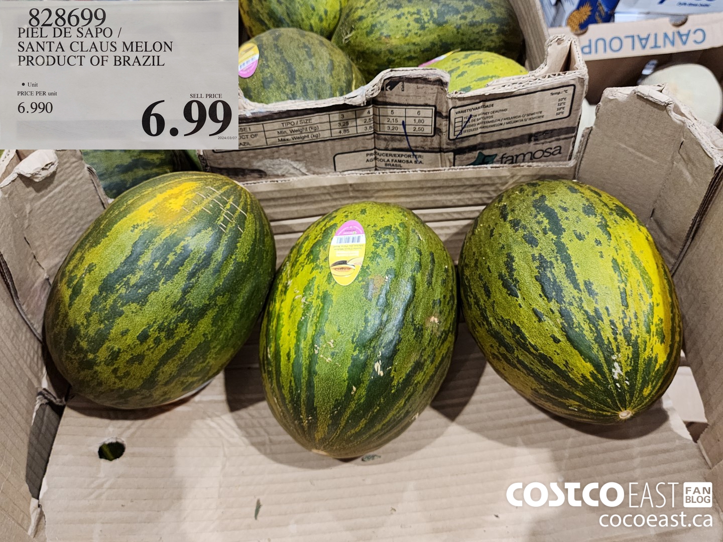 828699 PIEL DE SAPO / SANTA CLAUS MELON PRODUCT OF BRAZIL $6.99