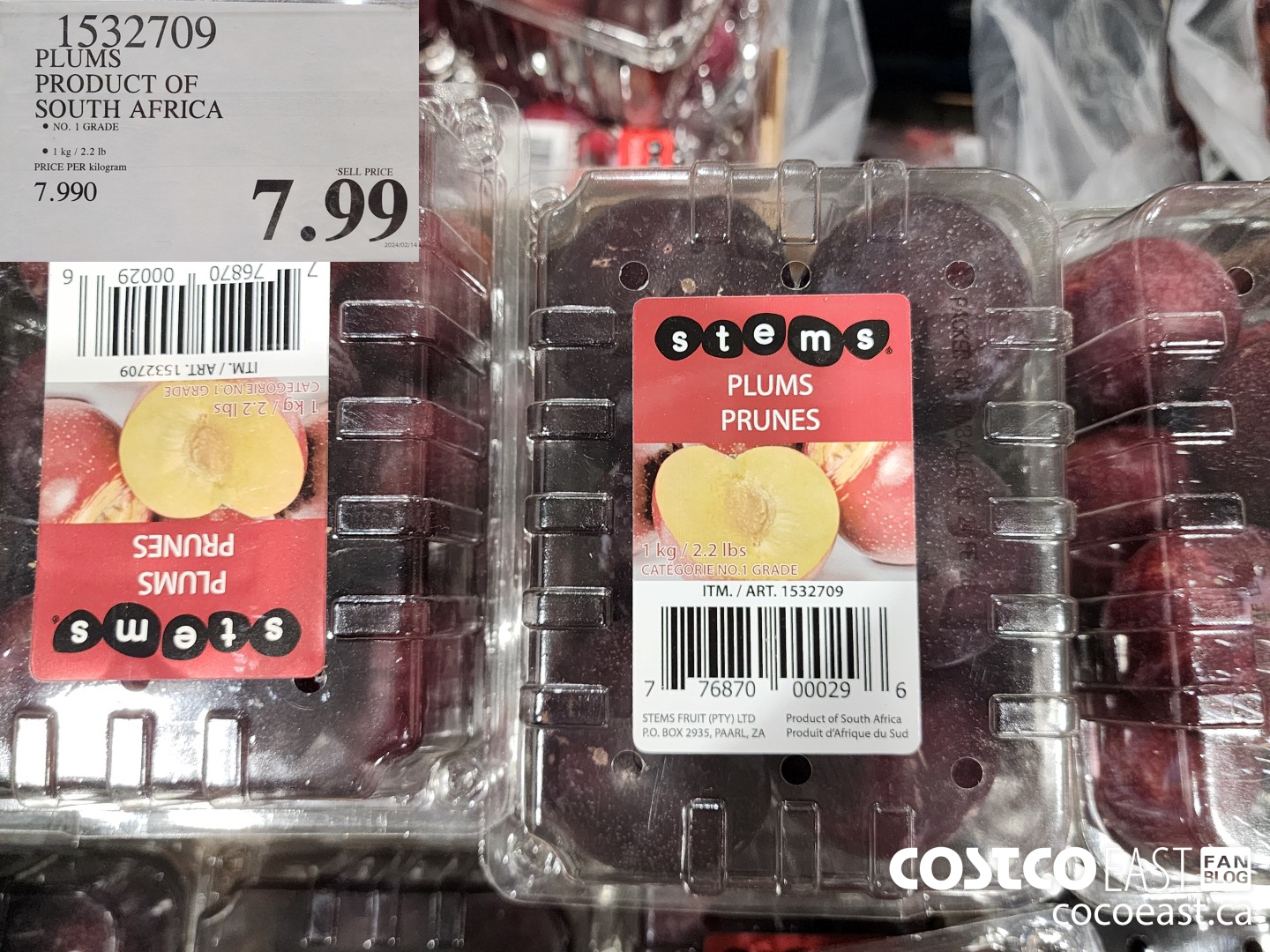 1532709 PLUMS PRODUCT OF SOUTH AFRICA $7.99