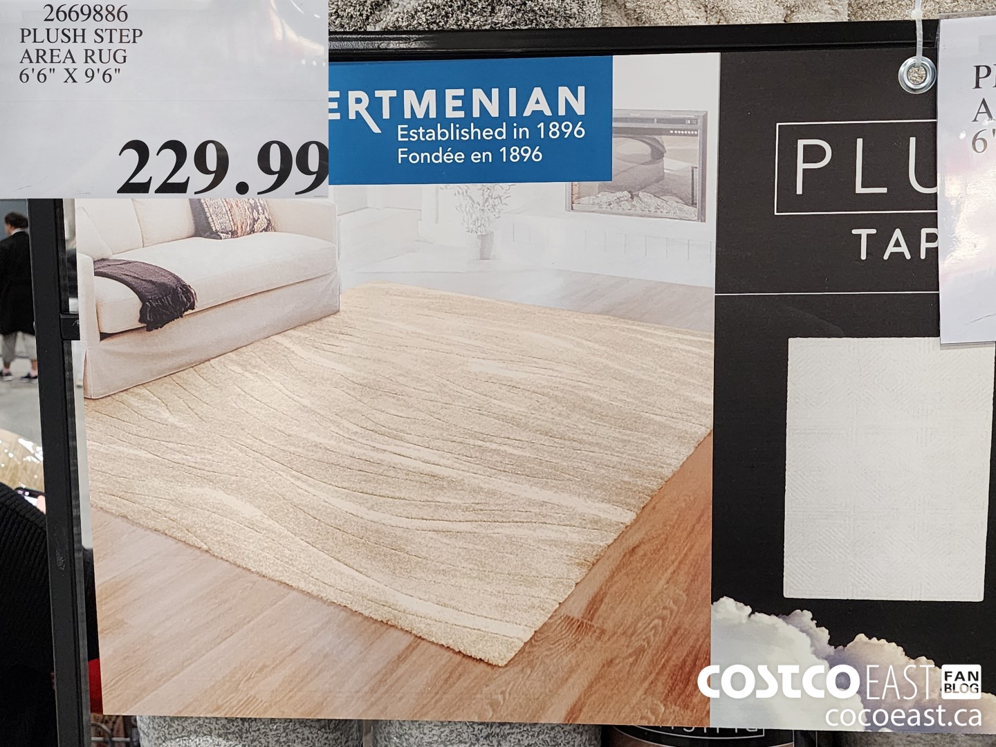 2669886 PLUSH STEP AREA RUG 6'6