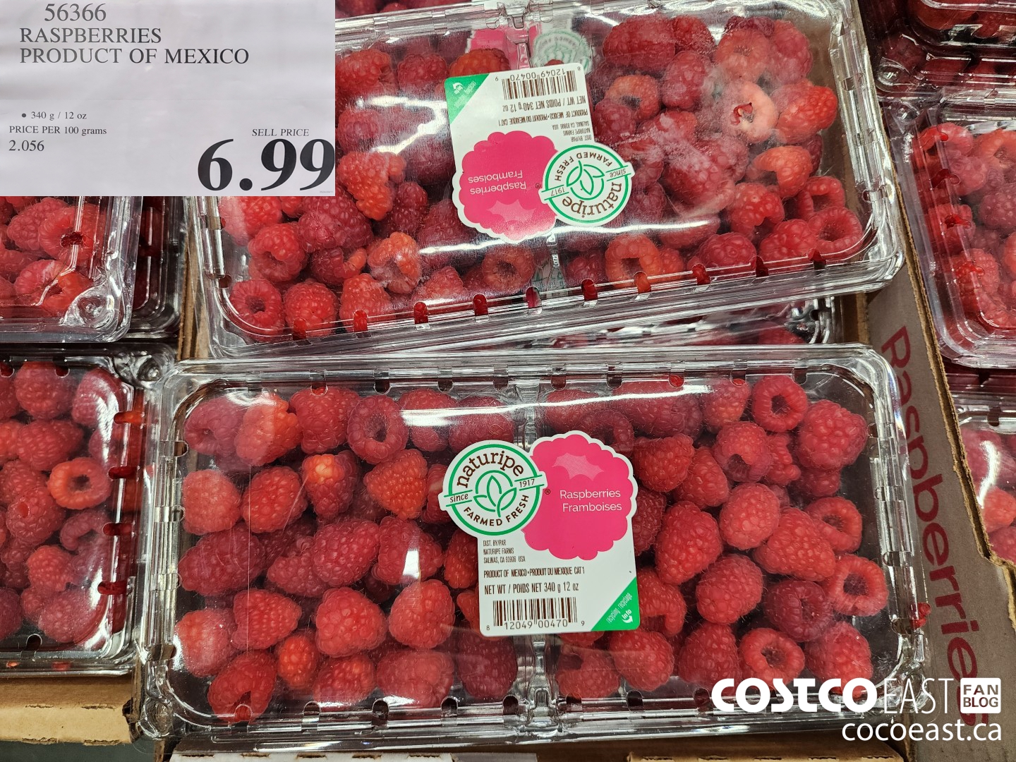 56366 RASPBERRIES PRODUCT OF MEXICO $6.99