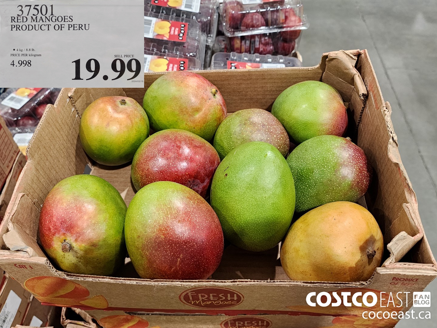 37501 RED MANGOES PRODUCT OF PERU $19.99