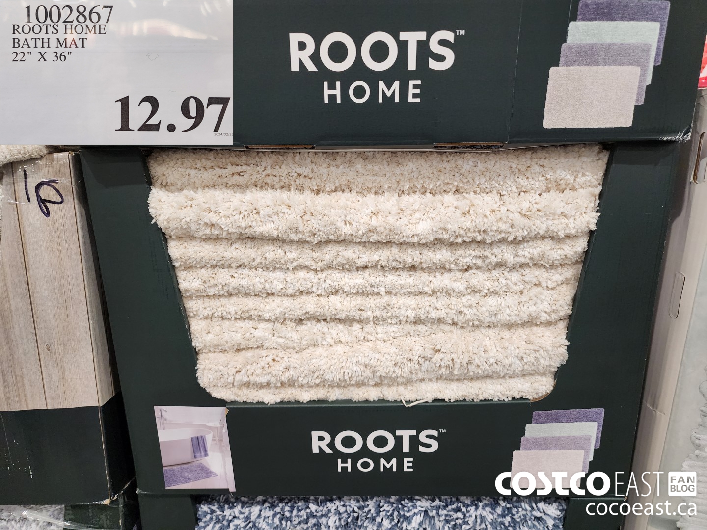 1002867 ROOTS HOME BATH MAT 22
