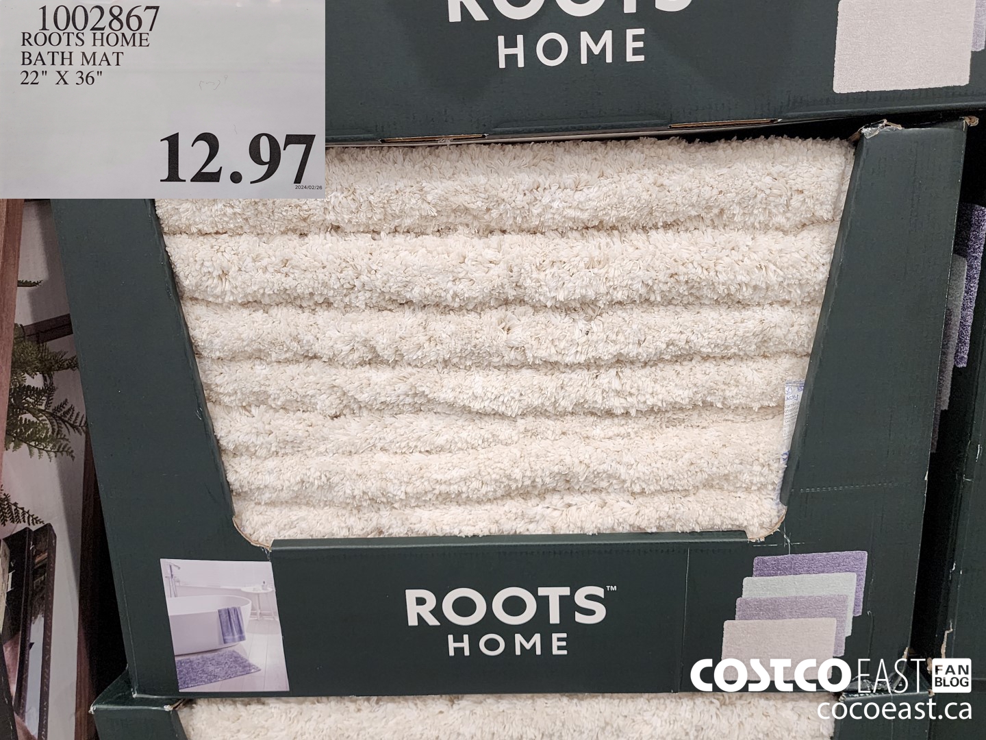 1002867 ROOTS HOME BATH MAT 22