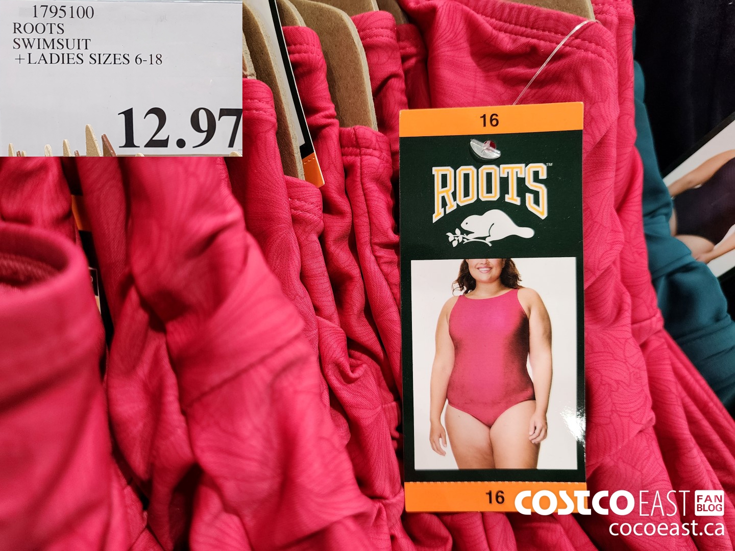 1795100 ROOTS SWIMSUIT +LADIES SIZES 6-18 $12.97