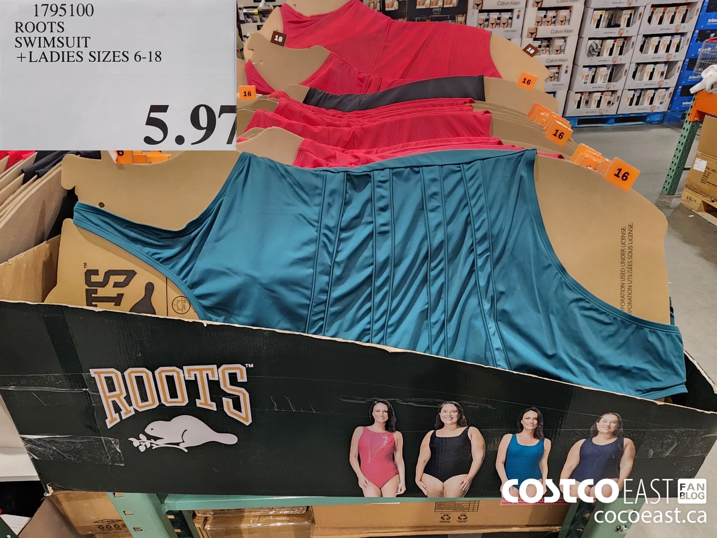 1795100 ROOTS SWIMSUIT +LADIES SIZES 6-18 $5.97